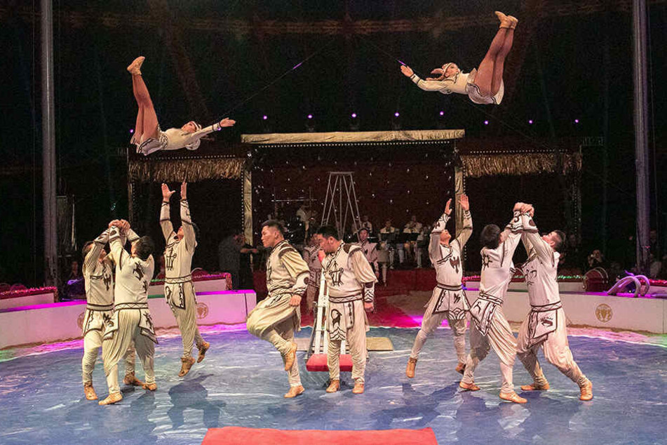 Manege frei im Weihnachts-Circus.