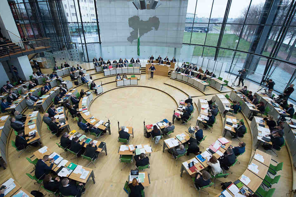 Der Landtag muss sich mit dem Volksantrag beschäftigen. Wird er abgelehnt, bleibt der Initiative noch der Volksentscheid.