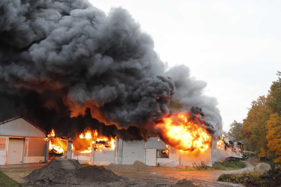Feuer und dichter Rauch steigen aus einer Caravan-Lagerhalle nahe der niederländischen Großstadt Nimwegen auf.