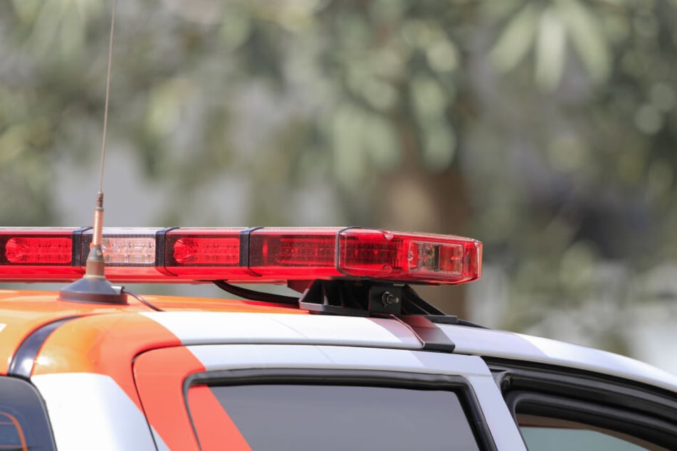 Beide Insassen wurde bei dem Unfall schwer verletzt. (Symbolbild)