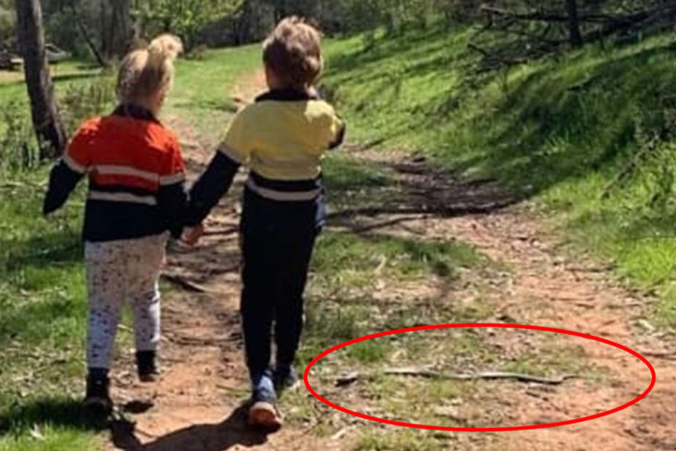 Eine Östliche Braunschlange bedrohte das Leben der Kinder.