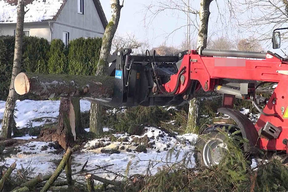 Mit schwerem Gerät und Kettensägen werden die umgestürzten Bäume vom Gelände des Friedhofs entfernt.