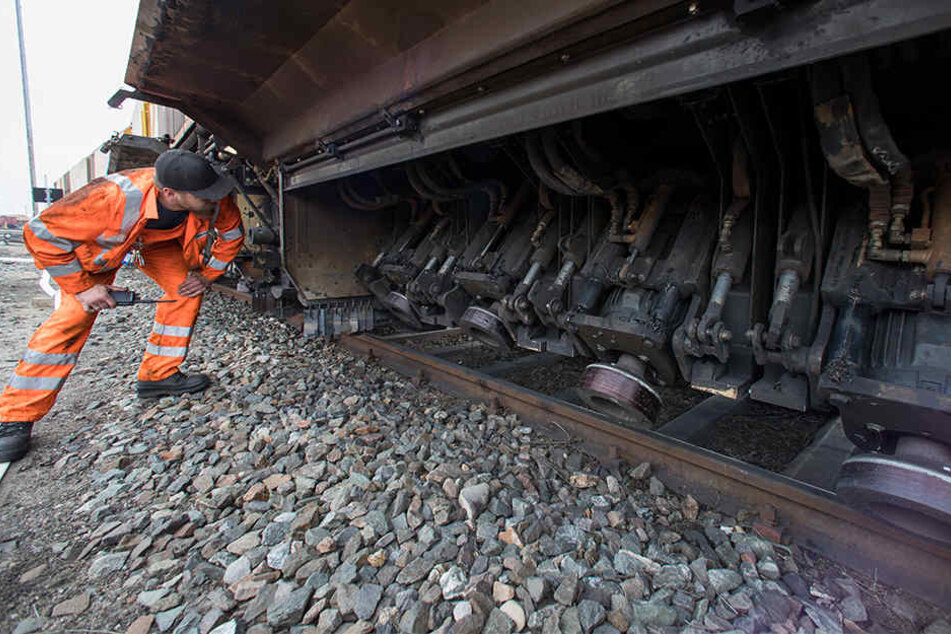 An der Bahnstrecke zwischen Limbach und Netzschkau ist am Sonntagmorgen ein Pferd von einem Schleifwagen erfasst und getötet worden. (Symbolbild)