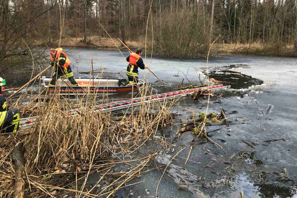 Feuerwehrkräfte retten den ins Eis eingebrochenen Hund.