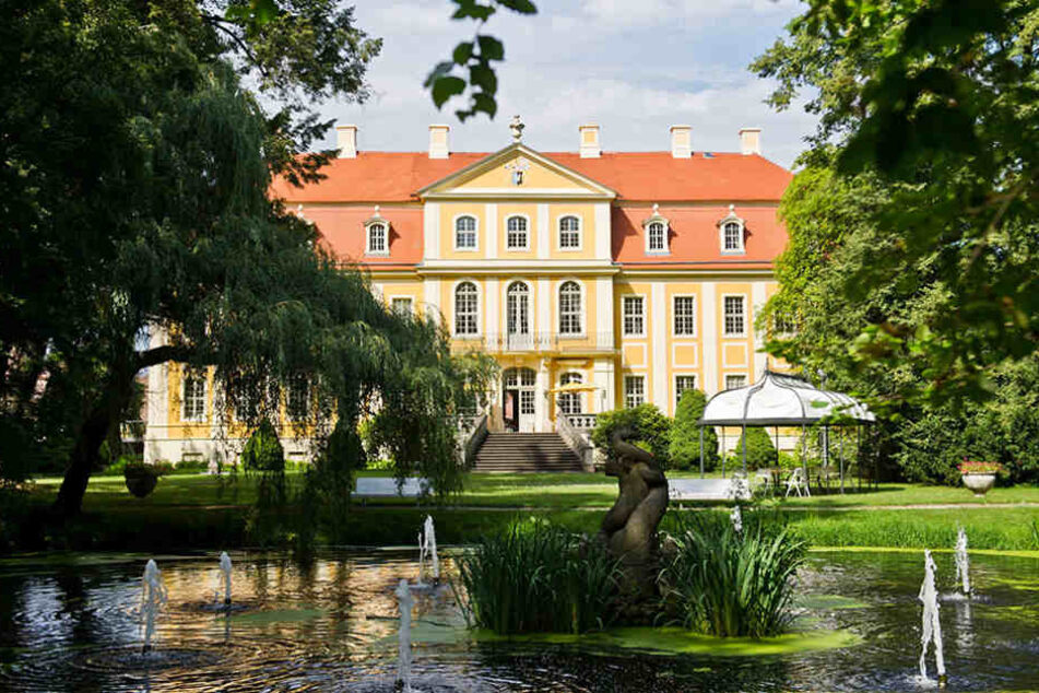 Rammenau gewann den Landeswettbewerb 2012, holte dann beim Bundesausscheid
sogar Gold.