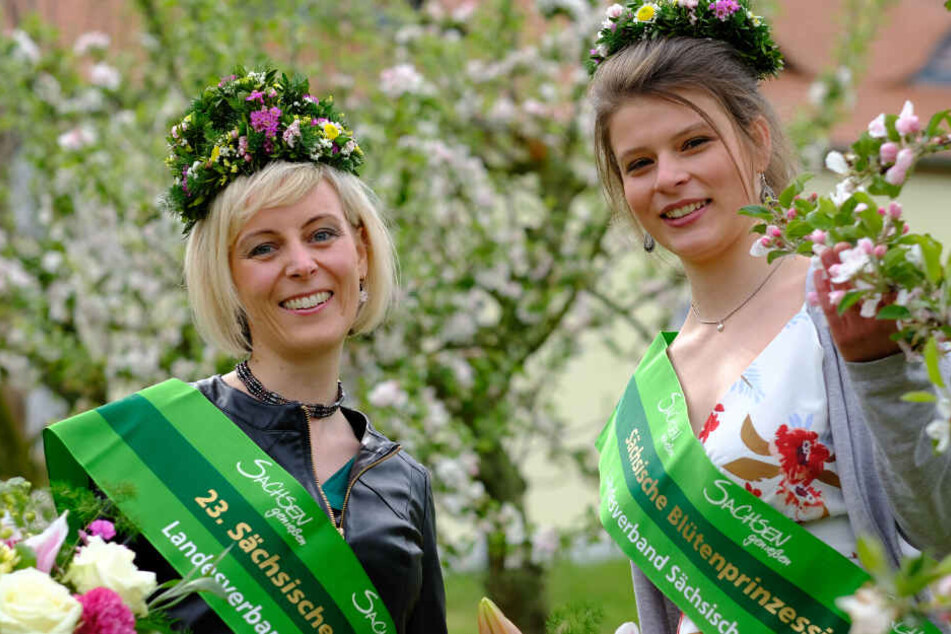 Gemeinsam mit Blütenprinzessin Elisabeth (22) aus Schmölln wird die Leipzigerin die Obstbauregion auf Veranstaltungen und Messen vertreten.