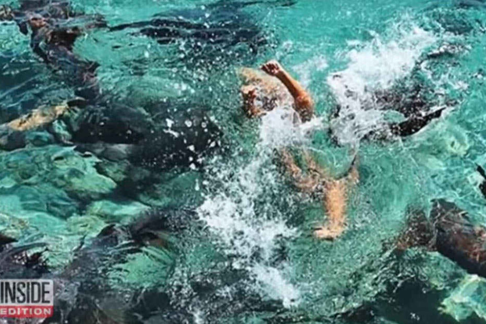 Der Hai zog die 19-Jährige unter Wasser. Doch zum Glück konnte sie sich schnell aus eigener Kraft befreien.
