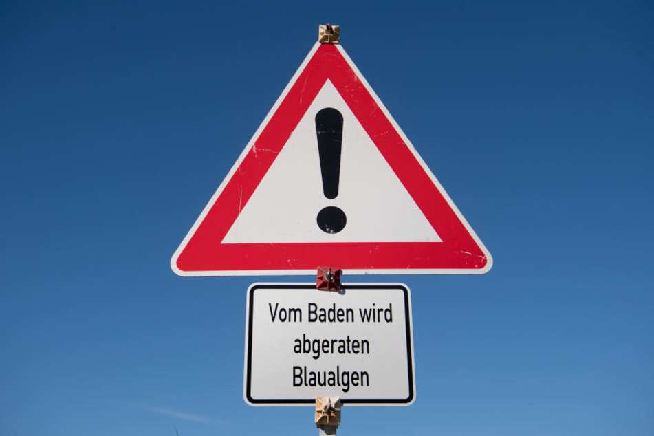 Ein Warnschild warnt vor Blaualgen. (Archivbild.)