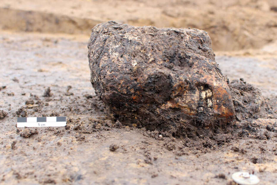 Gruselfund: In Ebsdorfergrund-Heskem kam ein 7000 Jahre alter Kinderschädel ans Tageslicht.