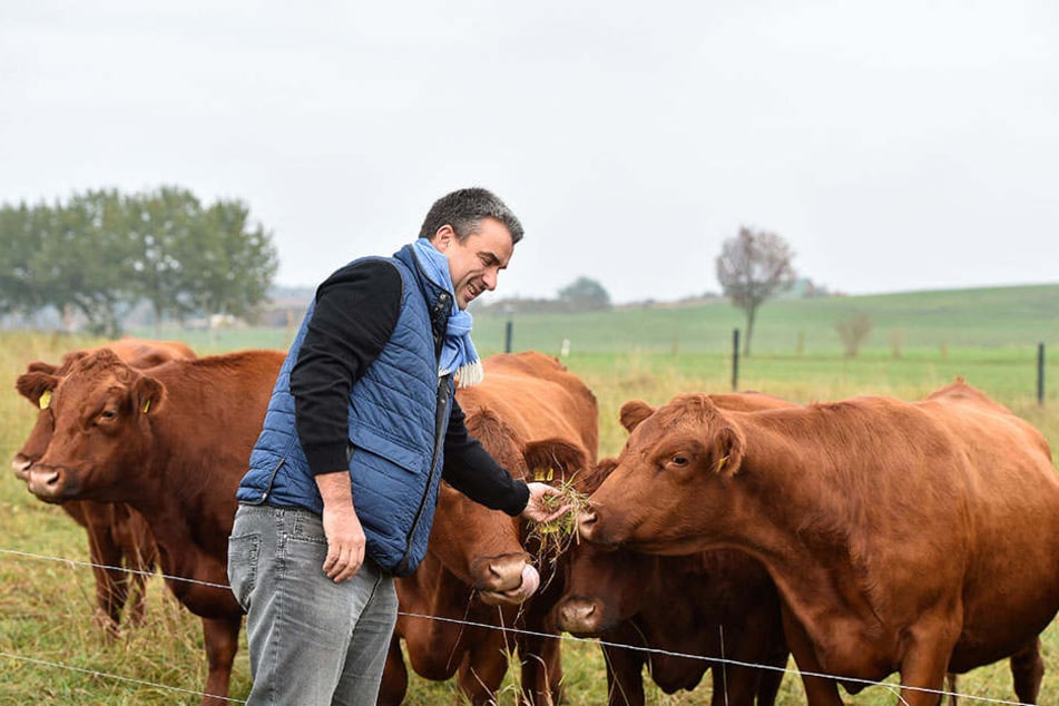 Besuch bei den Damen auf der Wiese: Gerd Kastenmeier (47) schaut nach, das seine Mädels auch gut im Futter stehen.