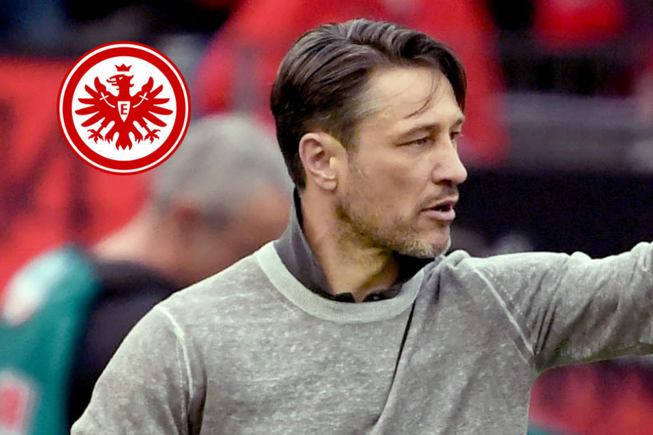 Niko Kovac legt den Fokus voll auf das K.O..-Spiel auf Schalke.