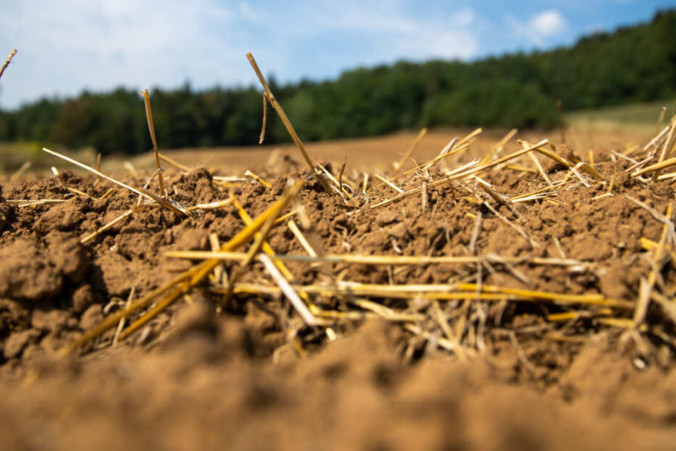 Unsichtbare Gefahr: Wie stark sind die Böden in Bayern belastet? (Symbolbild)
