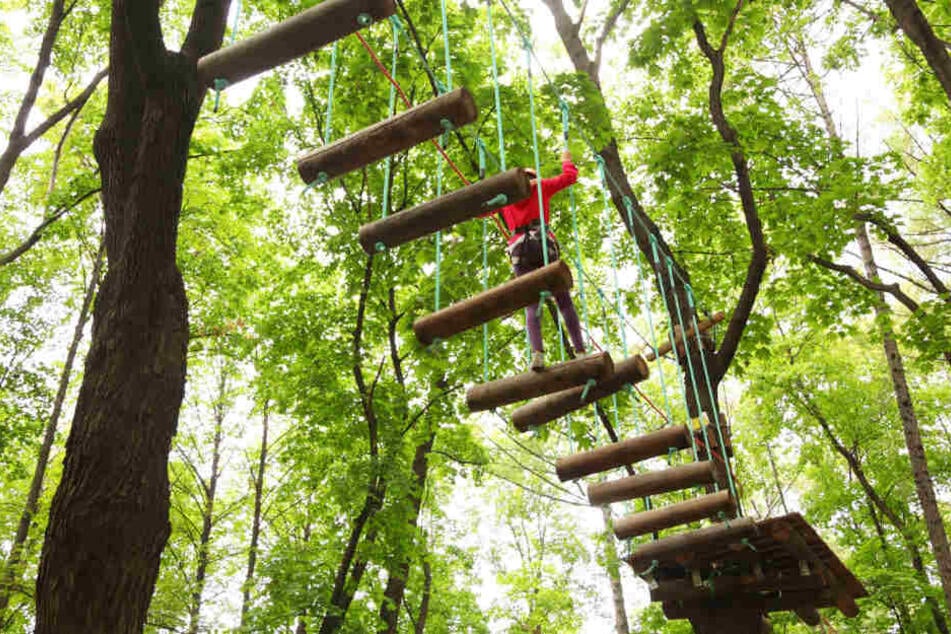 Der Sprungturm gehörte zu einem Kletterpark (Symbolbild).