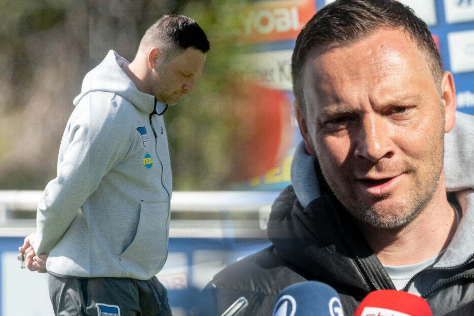 Pal Dardai stellt sich den Fragen der Journalisten. (Bildmontage)