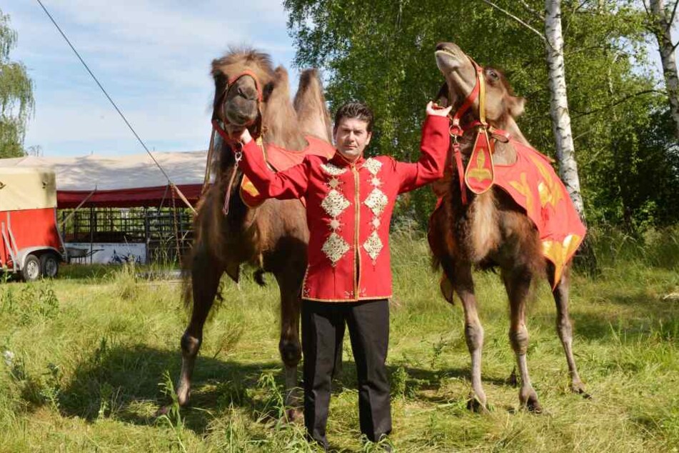 Am Sonntag hatte Zirkus-Direktor Samuel Endres (48) seine beiden Ausreißer Ali (8) und Fatima (7) wieder im Griff.