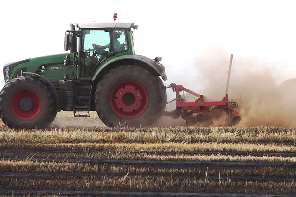 Die Bauern fuhren mit ihren Traktoren aufs Feld, um ein weiteres Asbreiten des Feuers bis zum Eintreffen der Feuerwehr zu verhindern.