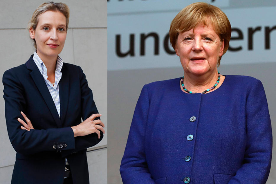 29. August: Veranstaltung mit Spitzenkandidatin Alice Weidel (li). Am 6. September: Kundgebung mit Kanzlerin Angela Merkel (re) in Torgau.