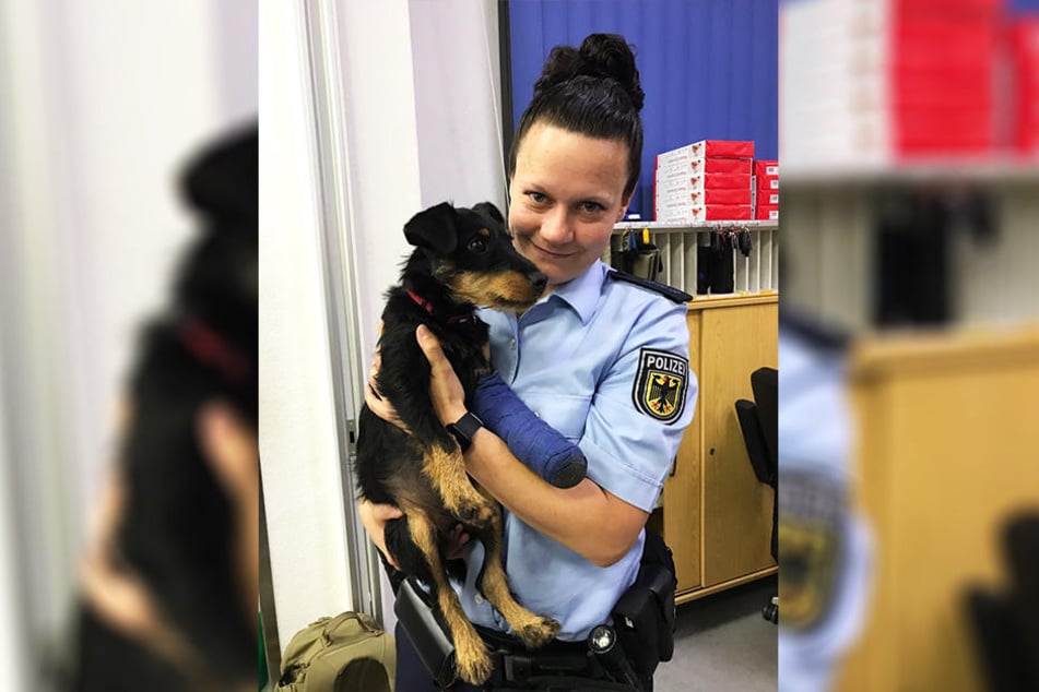 Die niedliche Hundedame brauchte nicht lange, um die Polizisten um den Finger zu wickeln.