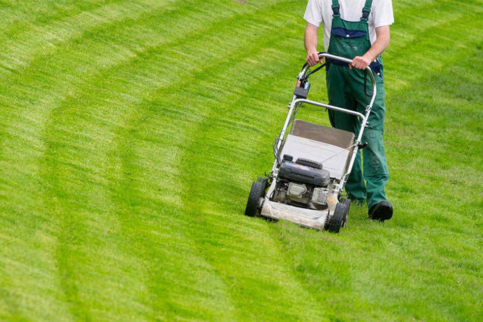 Im Kita Garten Rasenmaher Erfasst Kleinen Jungen Tag24