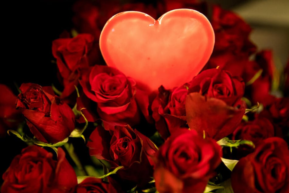 Am Valentinstag verschenken viele Männer rote Rosen.