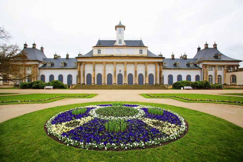 Schloss Pillnitz gehört zu den
beliebtesten Gartenanlagen in Sachsen.