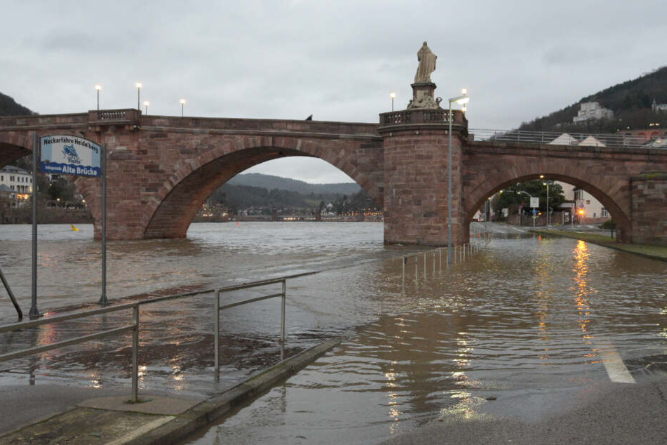 In Heidelberg trat am Montag der Neckar aus seinem Flussbett, überflutete die B37.