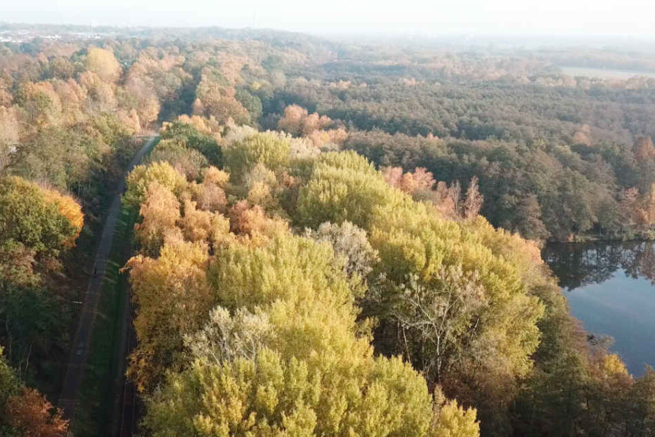 Die Boberger Niederung gilt als eines der schönsten Naturschutzgebiete Hamburgs.