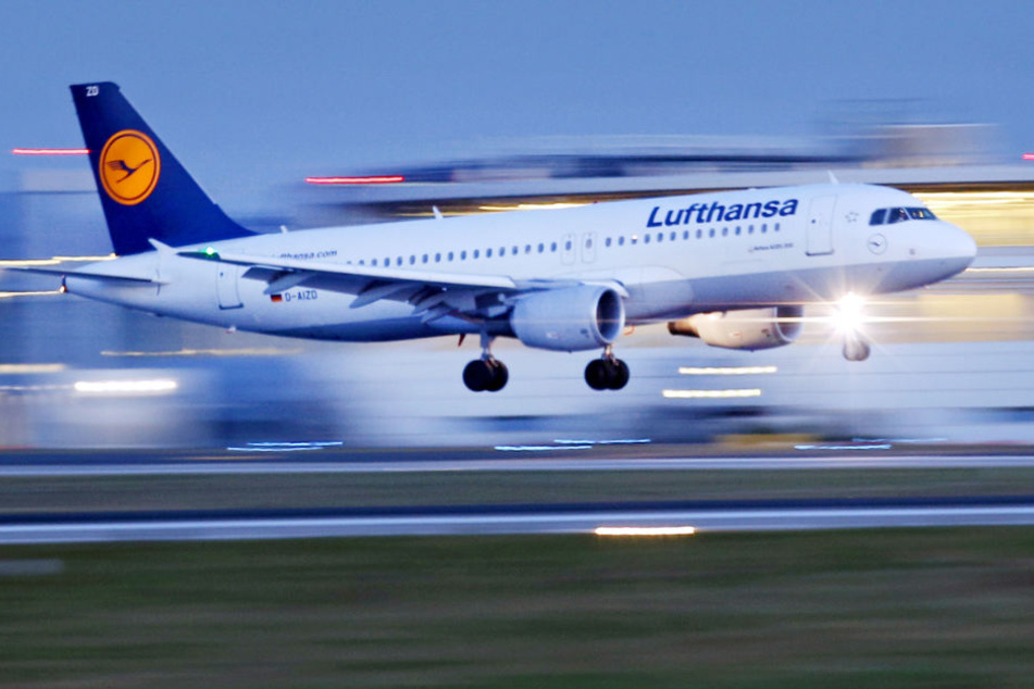 Einmal pro Woche fliegt die Lufthansa Erbil an. (Symbolbild)