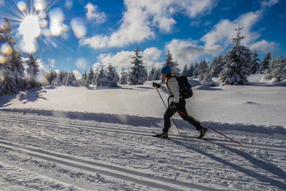 Für Langläufer sind den Angaben nach rund 1.400 Kilometer Loipen gespurt.
