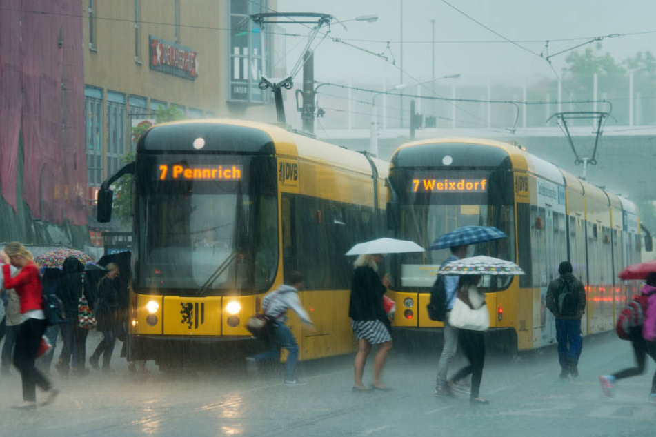 Immer wieder überraschten heftige Regenschauer die Dresdner.