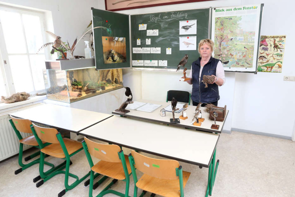 Der Unterrichtsraum der Tierparkschulebleibt bis auf Weiteres leer, ein neuer Lehrer fehlt.