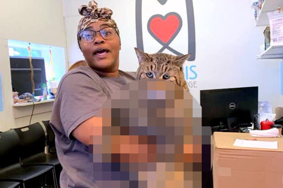 Was ist das Geheimnis dieses Katers?