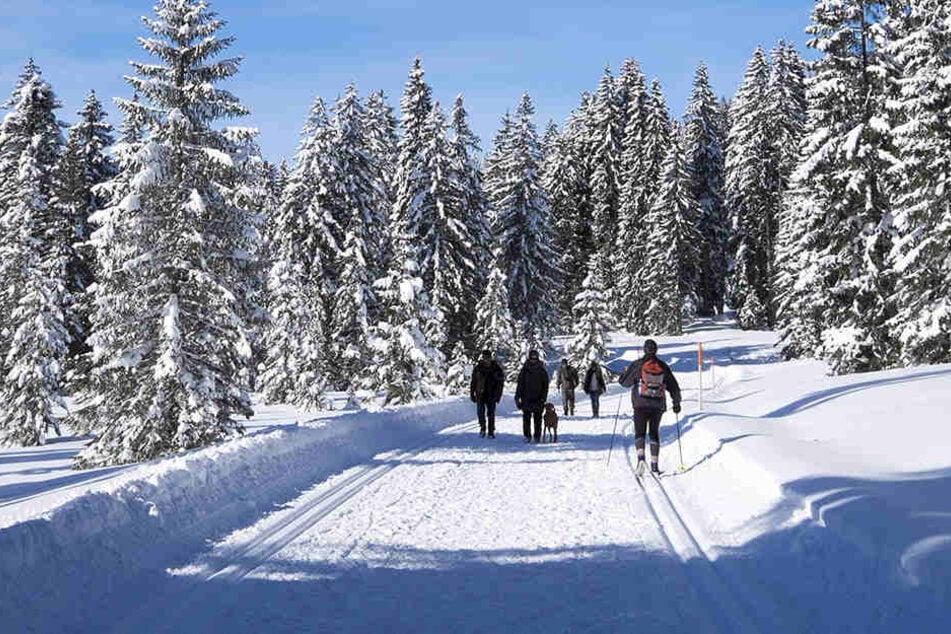 Der Skifahrer war in der Loipe mit gesundheitlichen Problemen zusammengebrochen.