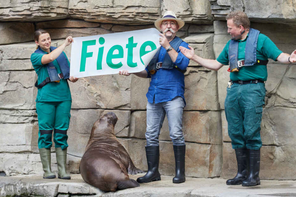 Horst Lichter enthüllt mit den Tierpflegern den Namen des Walross-Nachwuchses.