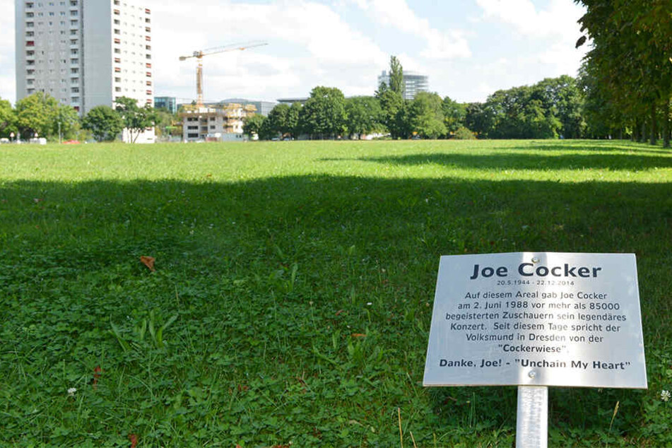 Eine Forderung ist eine Grundschule in der Nähe der Cockerwiese.