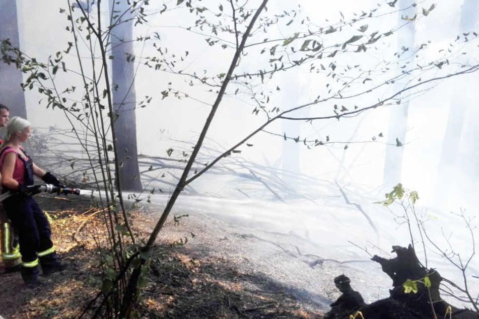 Zwei Feuerwehrkräfte bei der Brandbekämpfung. Der Löschvorgang in einem Waldstück bei Grimma-Süd wird sich noch mehrere Stunden hinziehen.