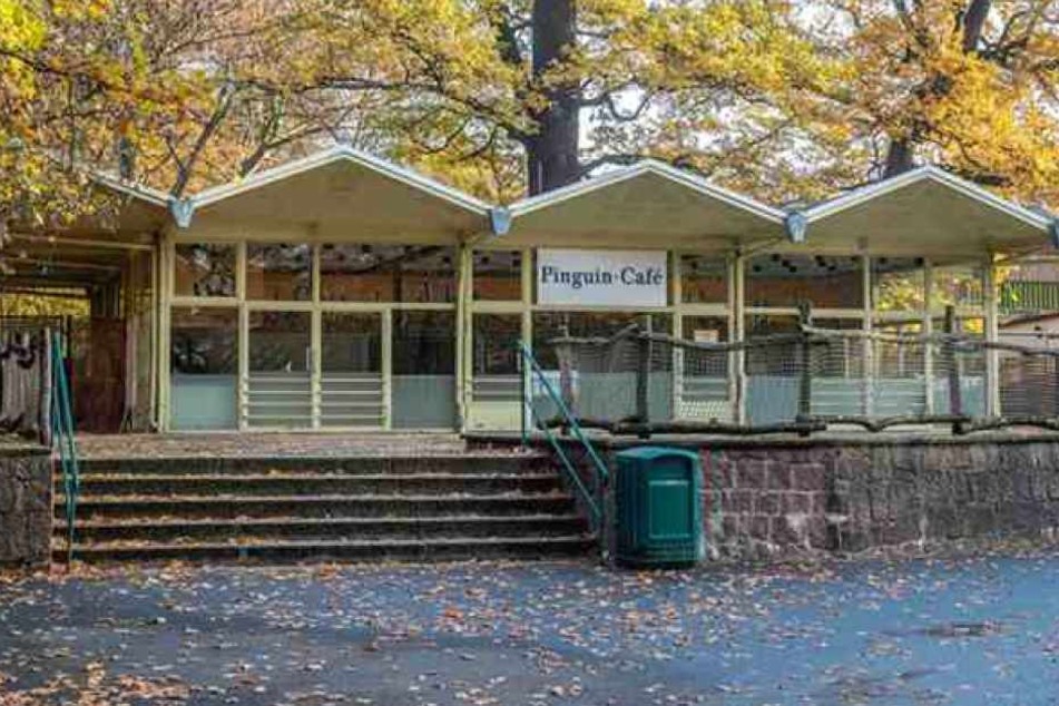 Der Stadtrat gab 40.000 Euro frei, um den Rückbau des Cafés zu bezahlen.