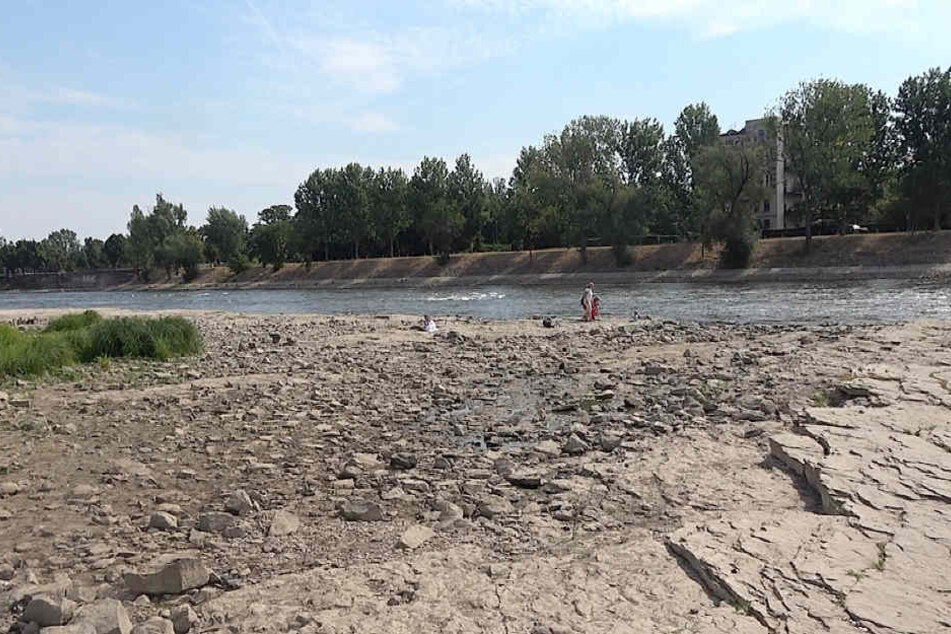 Die extreme Trockenheit lässt den Pegel der Elbe immer weiter sinken.
