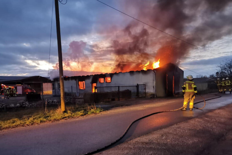 Der Rinderstall stand in Flammen.