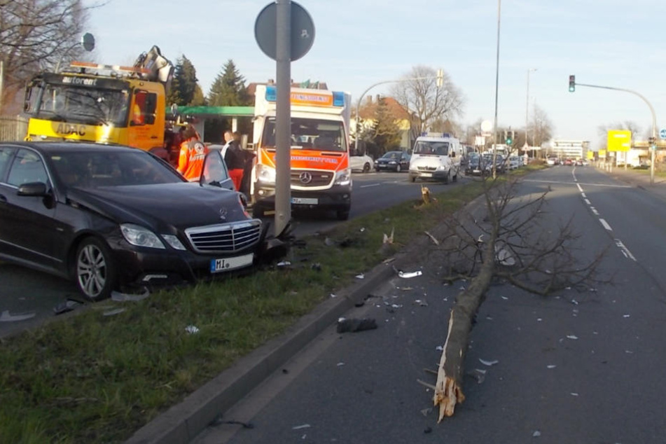 Wie ein Zahnstocher knickte der Baum auf dem Mittelstreifen um.