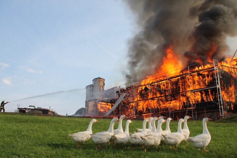 Die Scheune ging komplett in Flammen auf.