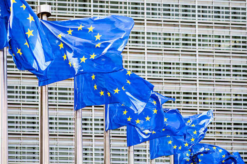 Noch bis Sonntagabend wählen die EU-Mitgliedssaaten das 9. Europäische Europaparlament.