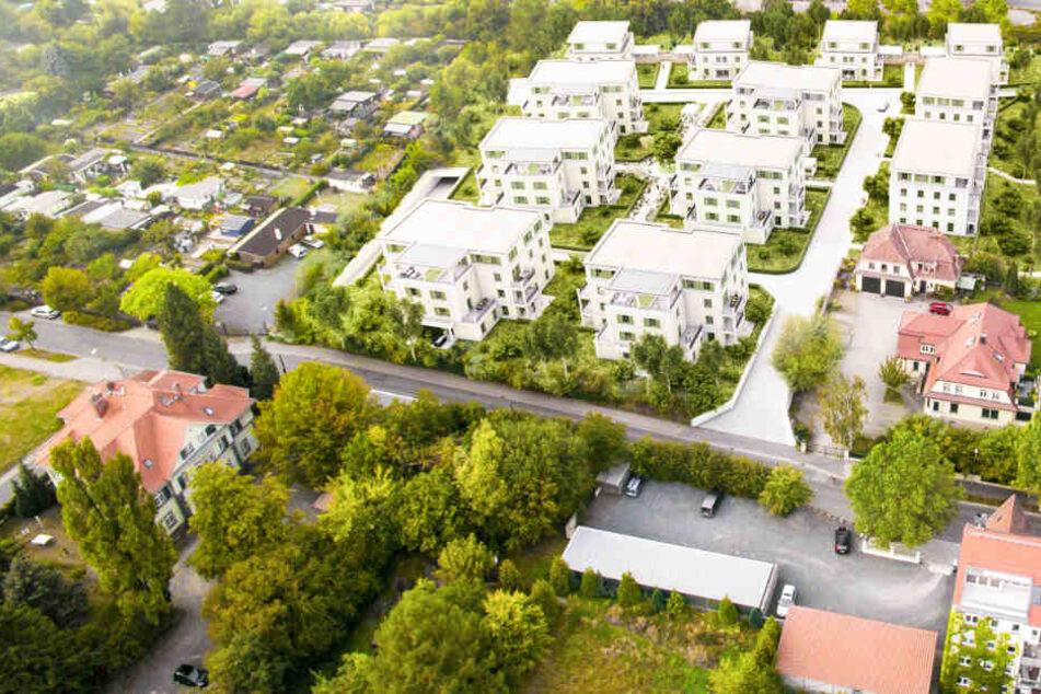 Zweifamilienhaus Kaufen Schleswigholstein Bei Immonet De