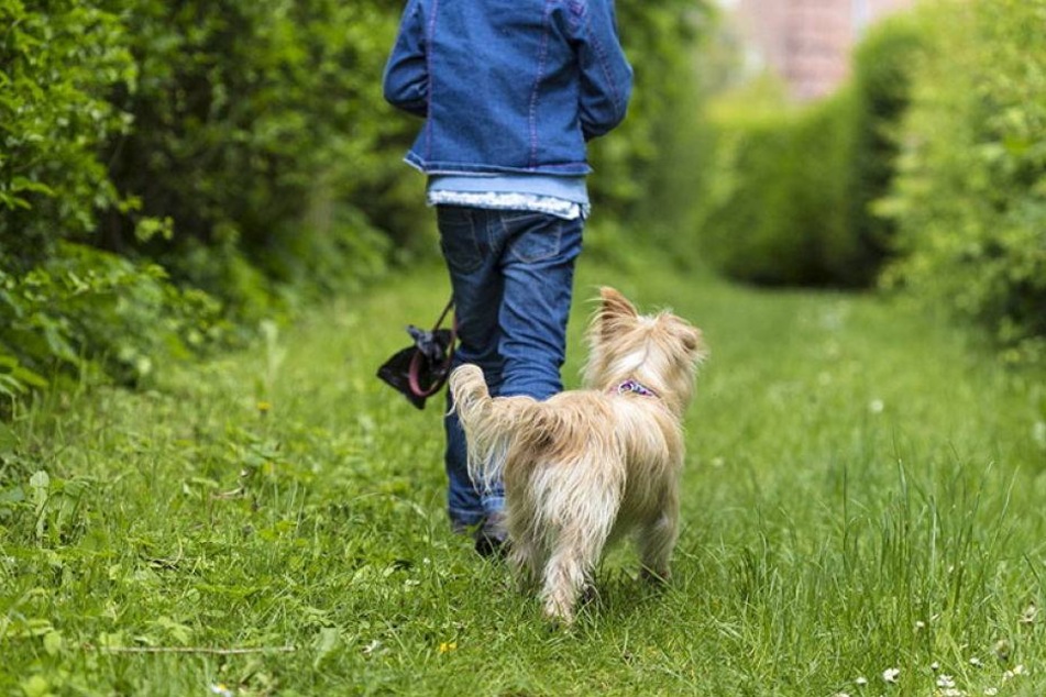 Mädchen von Hund gebissen. Verletzt ins Krankenhaus TAG24