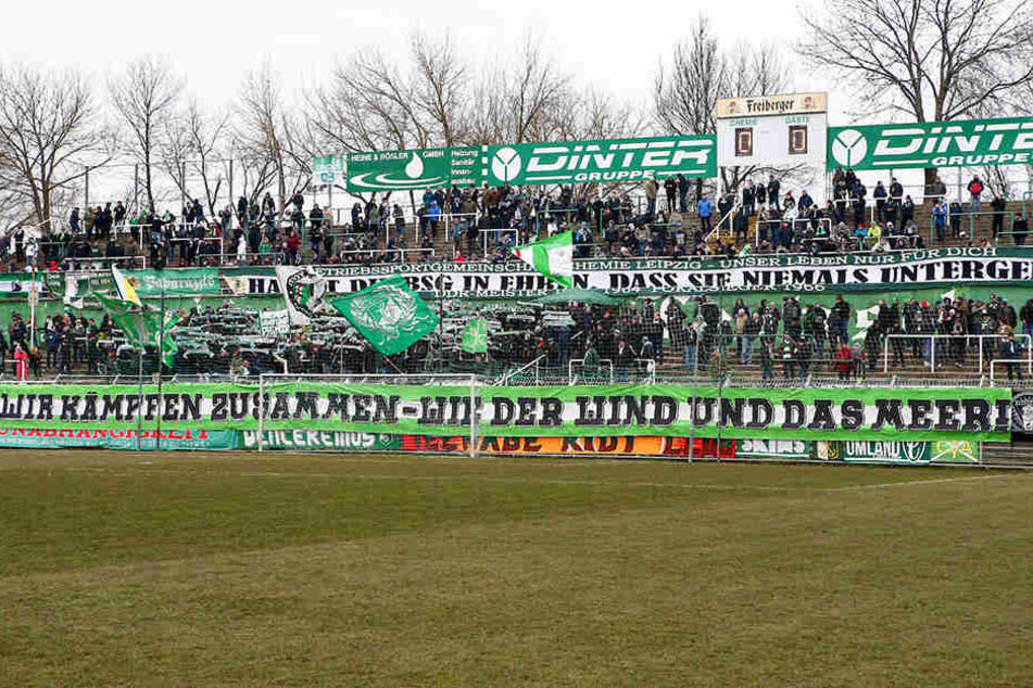 Auch bei eisigen Temperaturen jubelten hunderte Fans der Grün-Weißen von den Rängen im Alfred-Kunze-Sportpark.
