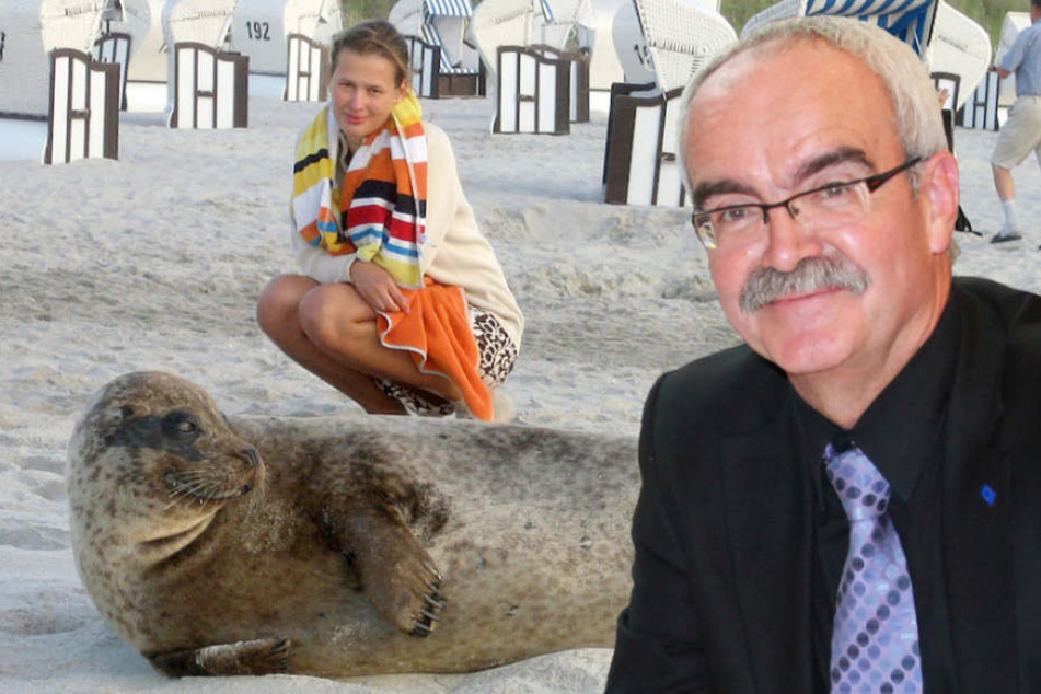 Der Europaabgeordnete Werner Kuhn (63, CDU) will Robben notfalls abschießen lassen. (Bildmontage)