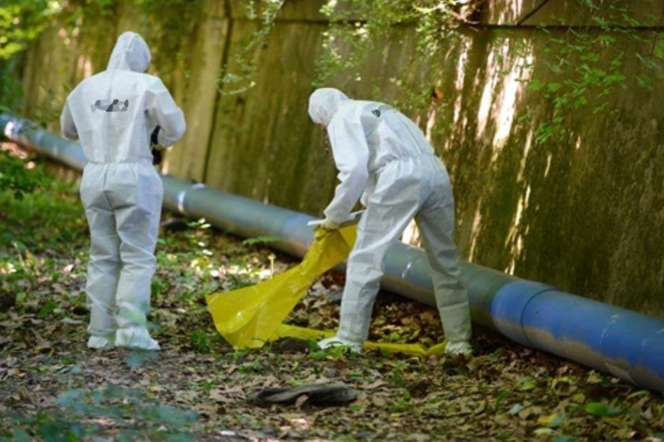 Die Frau und ihr Geliebter brachten den Ehemann in einen Wald und verbrannten ihn. (Symbolbild)