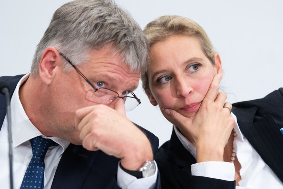 Am Donnerstag geht die Klage rund um die Spendenaffäre der AfD vor Gericht.