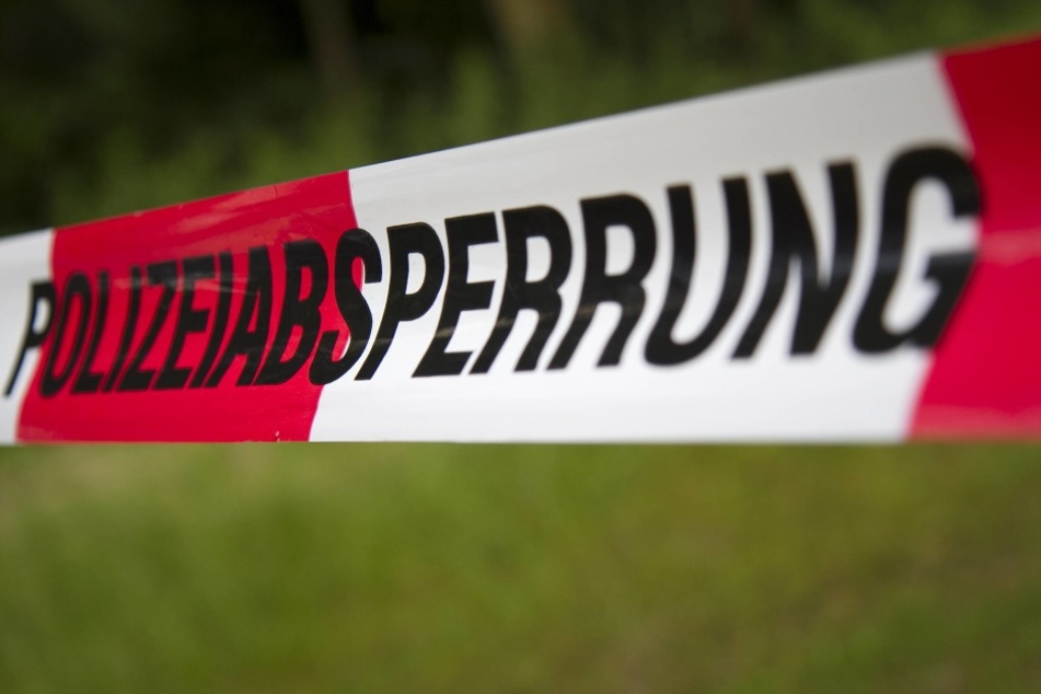 In einem Waldstück wurde ein 33-Jähriger brutal erschlagen.