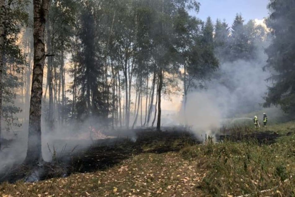 Die Feuerwehr hat das Feuer zum Glück schnell unter Kontrolle bekommen.